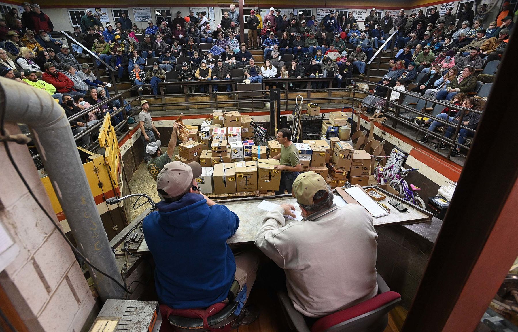 Carlisle Livestock Auction 15.JPG